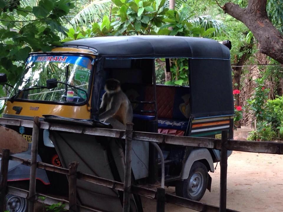 Murali Guesthouse ハンピ エクステリア 写真